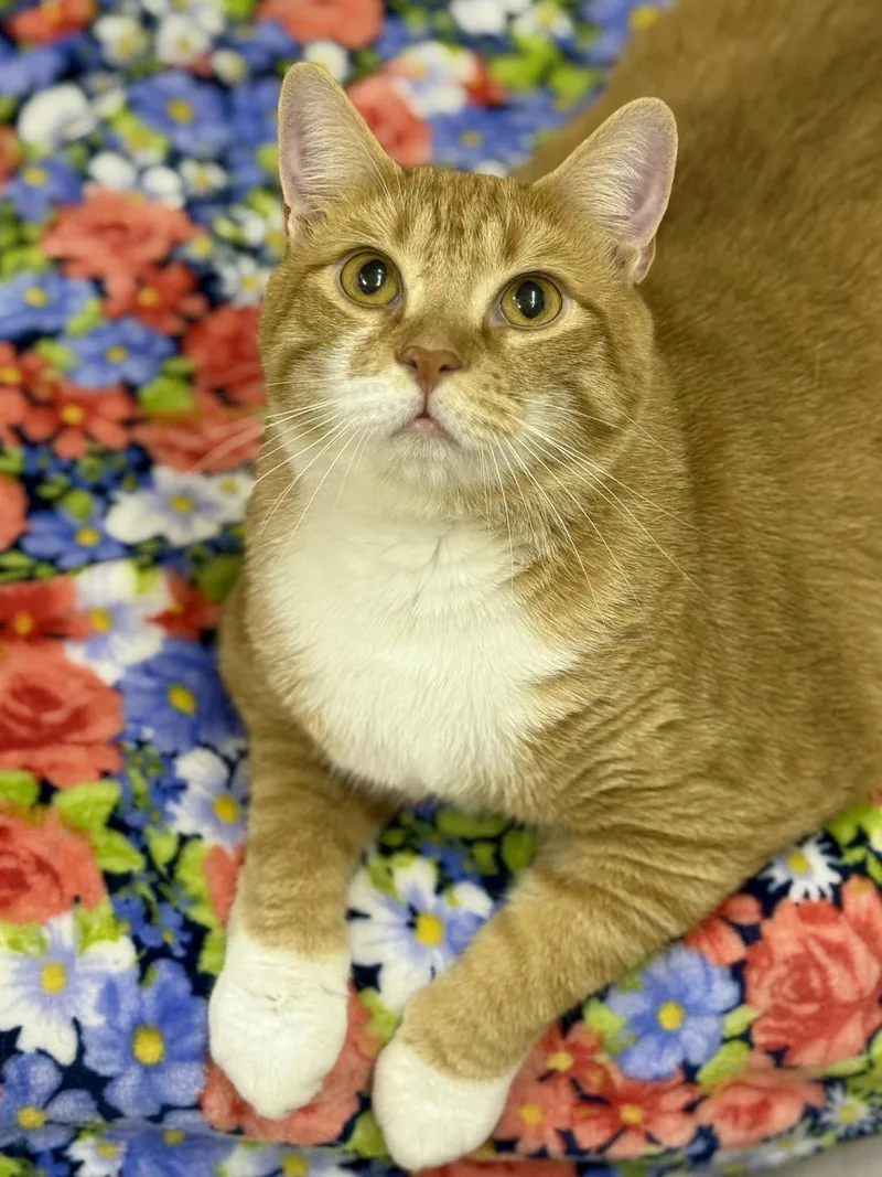 Layne & Lennon thumbnail 3