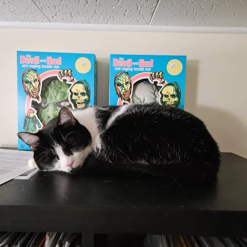 Apple & Coco thumbnail 4