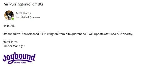 Sir Purrington