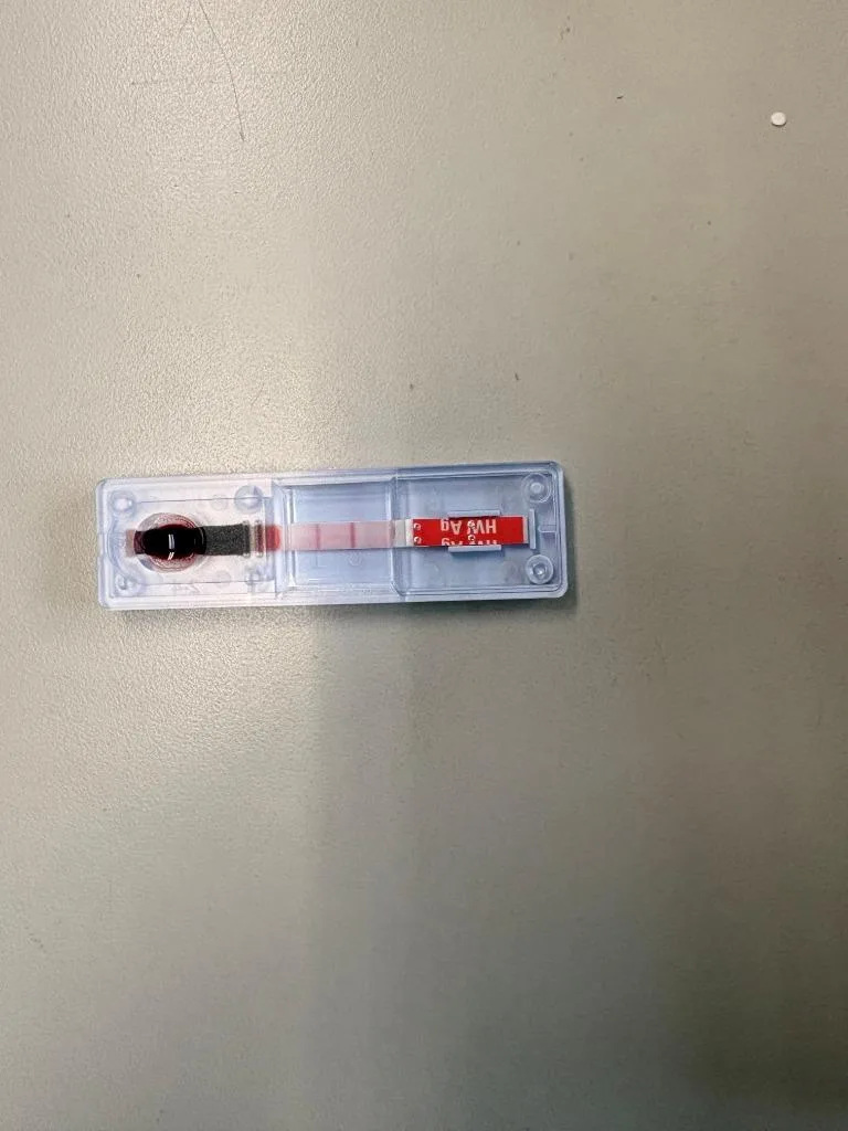 Vyolet