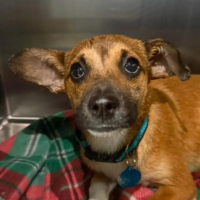 Biscayne thumbnail 5