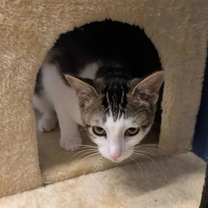 Zephyra City Of Industry