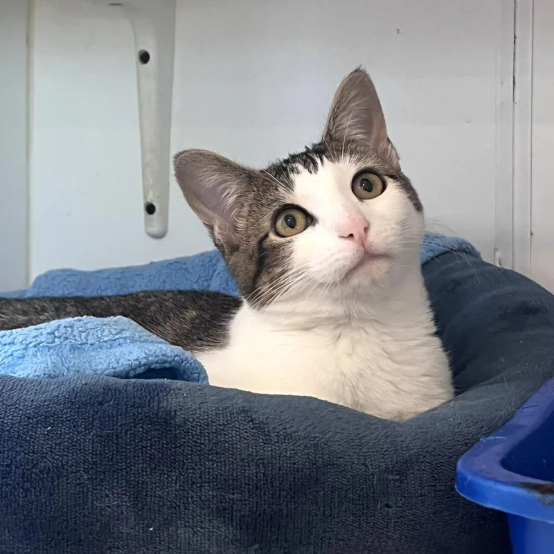 Zephyra City Of Industry thumbnail 2