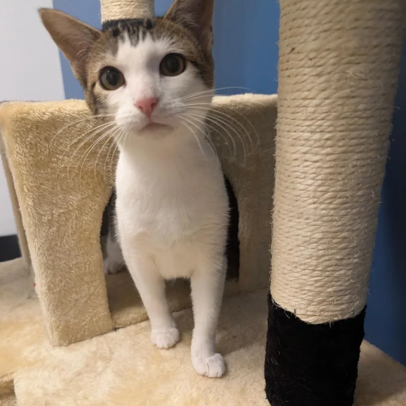 Zephyra City Of Industry thumbnail 3