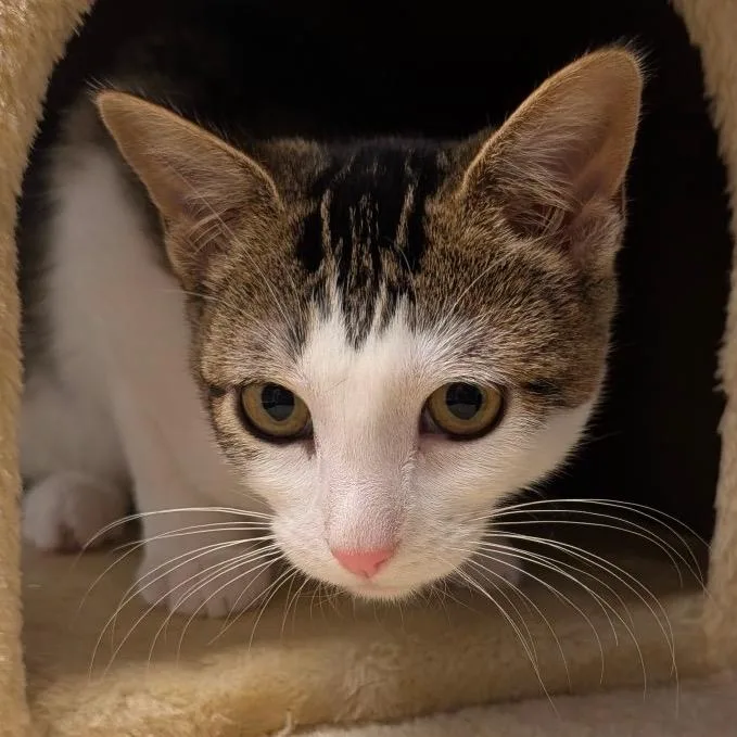 Zephyra City Of Industry thumbnail 4