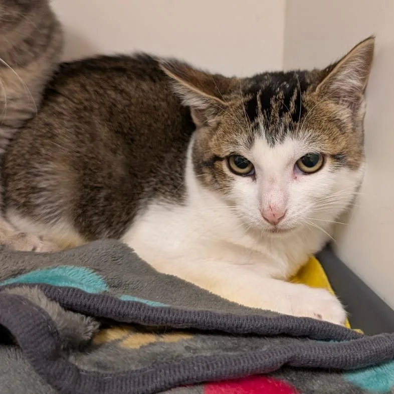 Zephyra City Of Industry thumbnail 5