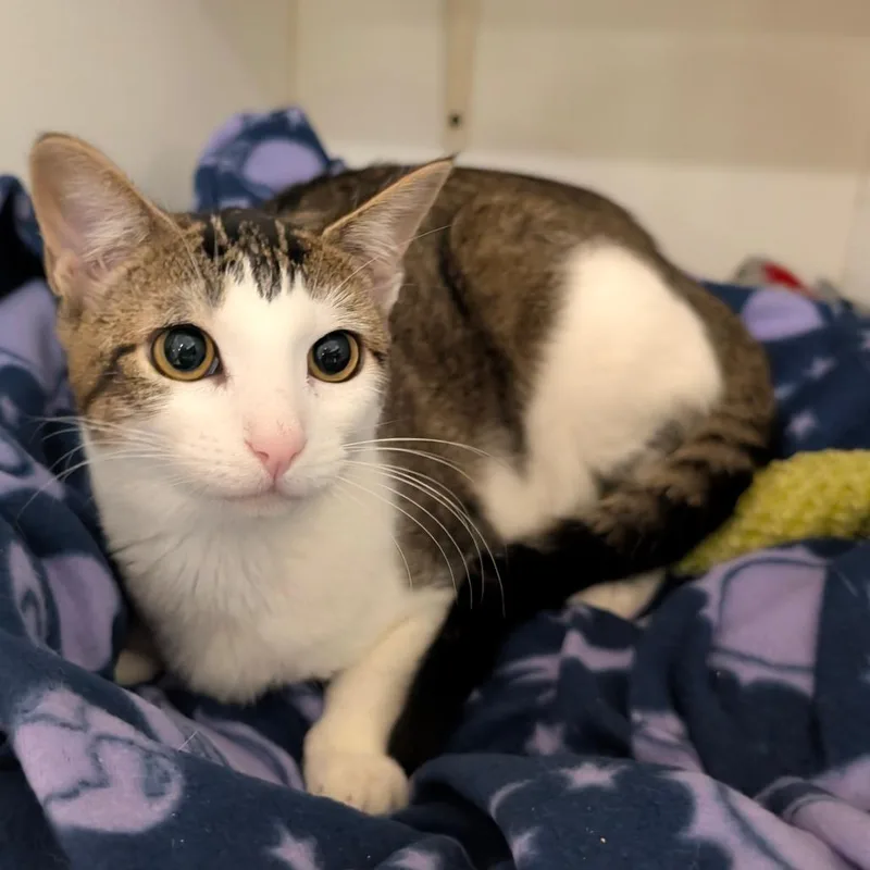 Zephyra City Of Industry thumbnail 6