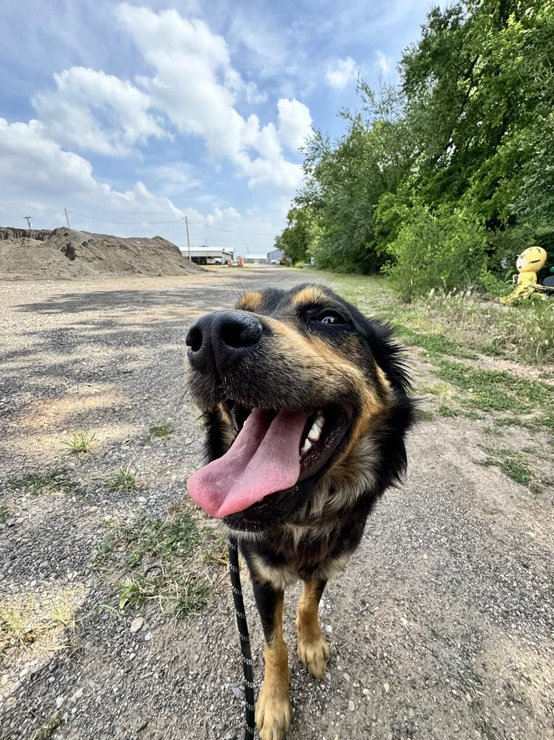 Coco