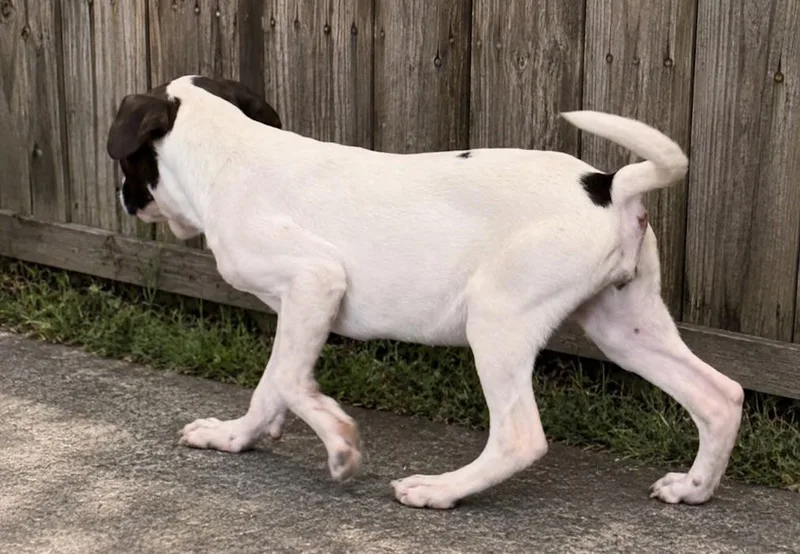 Wilma thumbnail 3