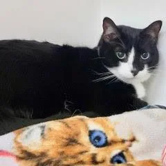 Lilyaka Milgard thumbnail 2