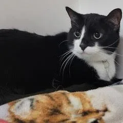 Lilyaka Milgard thumbnail 3