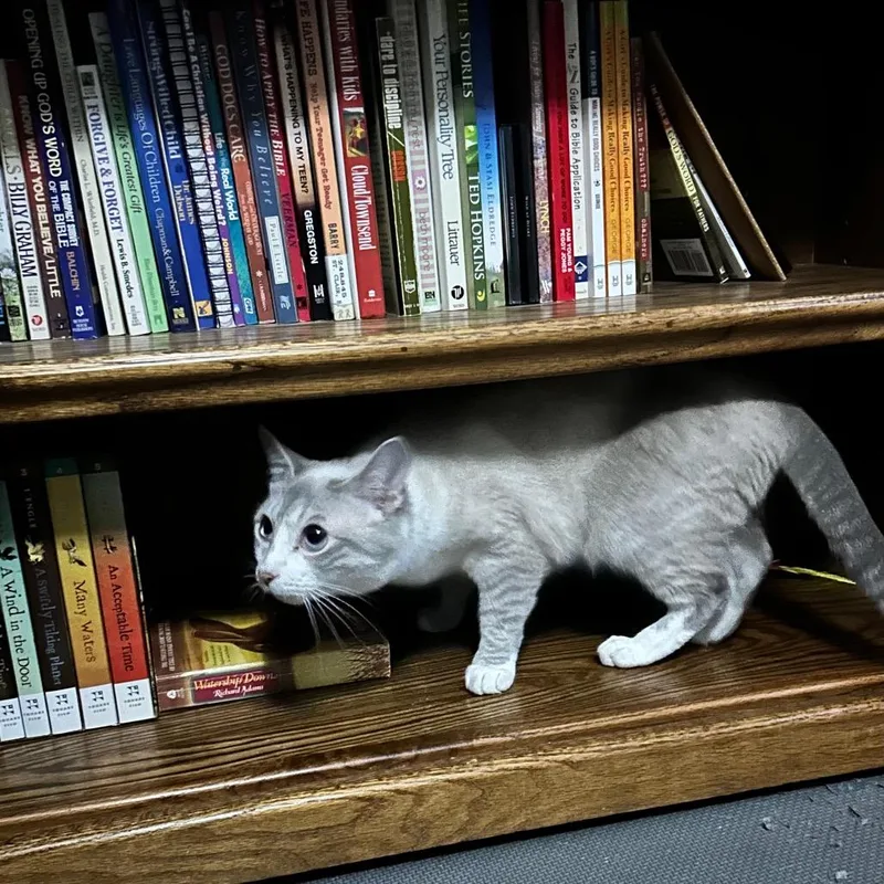 Francine thumbnail 2