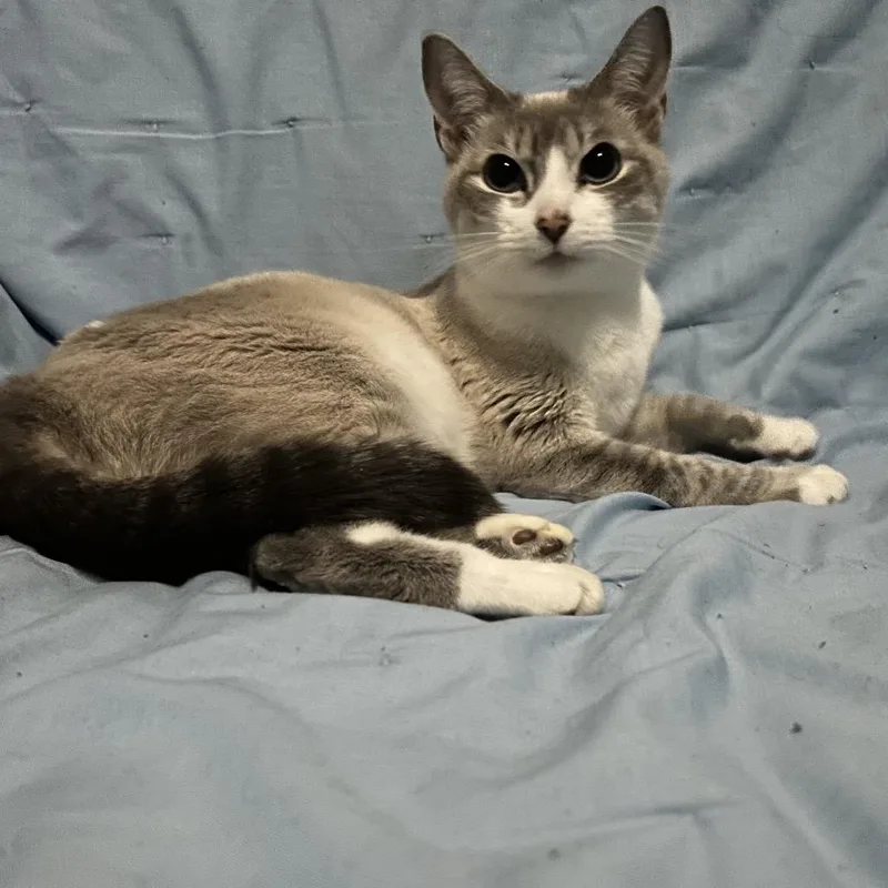 Francine thumbnail 4