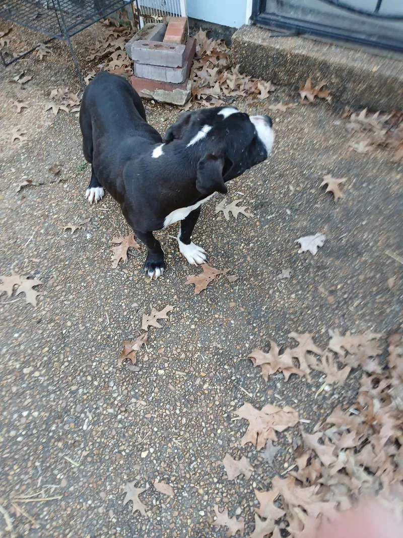 Zcld River thumbnail 3