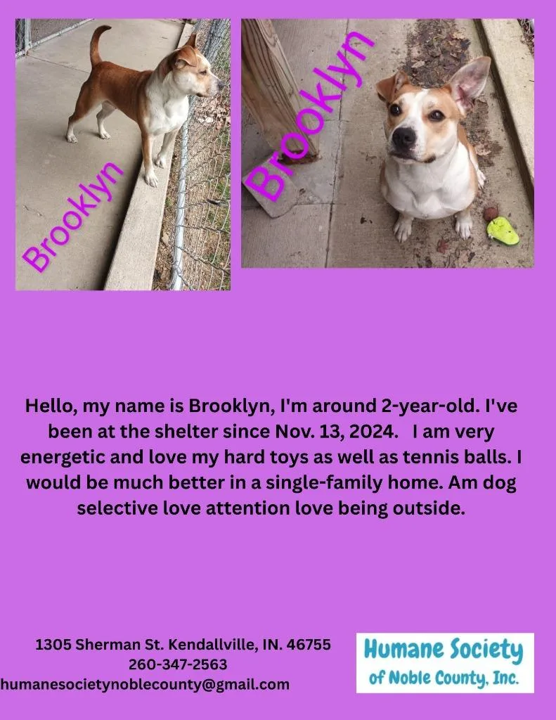 Brooklyn thumbnail 3