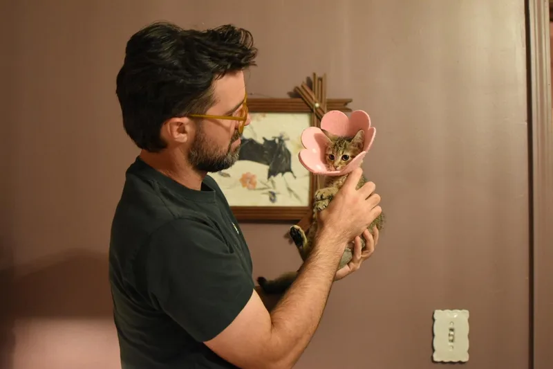 Tiger Lilly