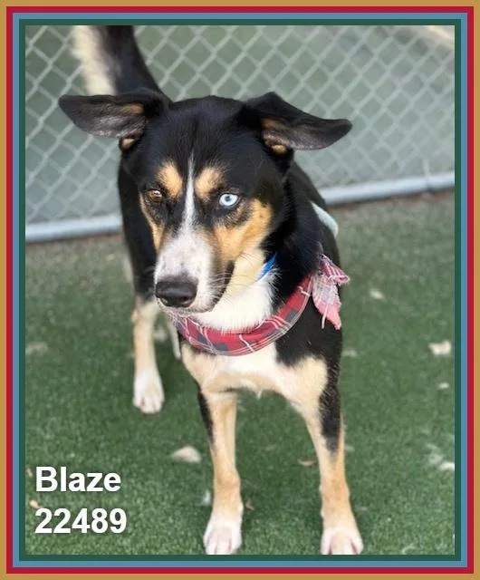 Blaze