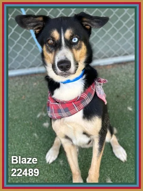 Blaze thumbnail 5