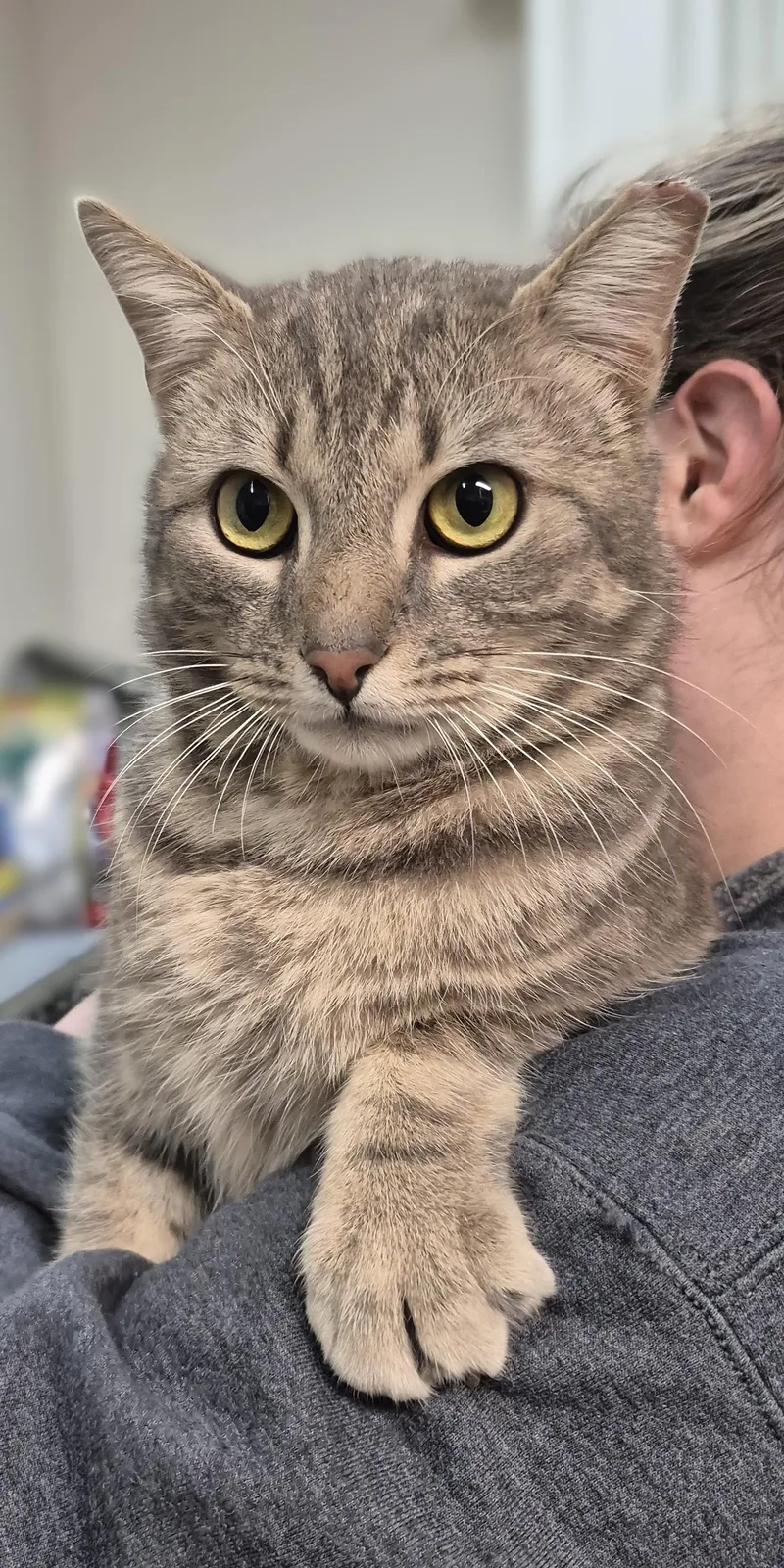 Monet ~~ Visit Me thumbnail 2