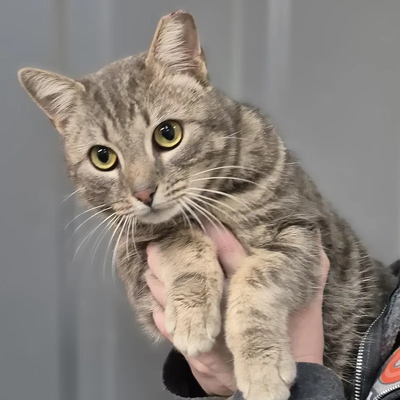 Monet ~~ Visit Me thumbnail 3