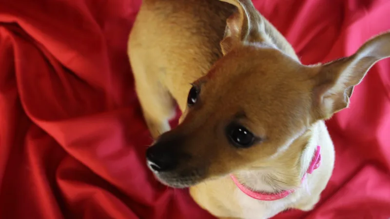 Madison thumbnail 3