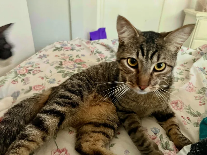 Waldo And Magoo thumbnail 2