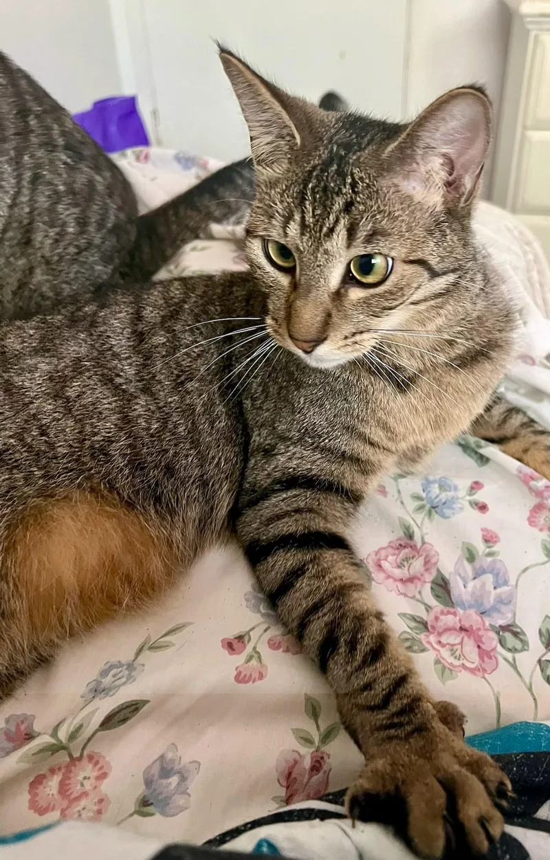 Waldo And Magoo thumbnail 3