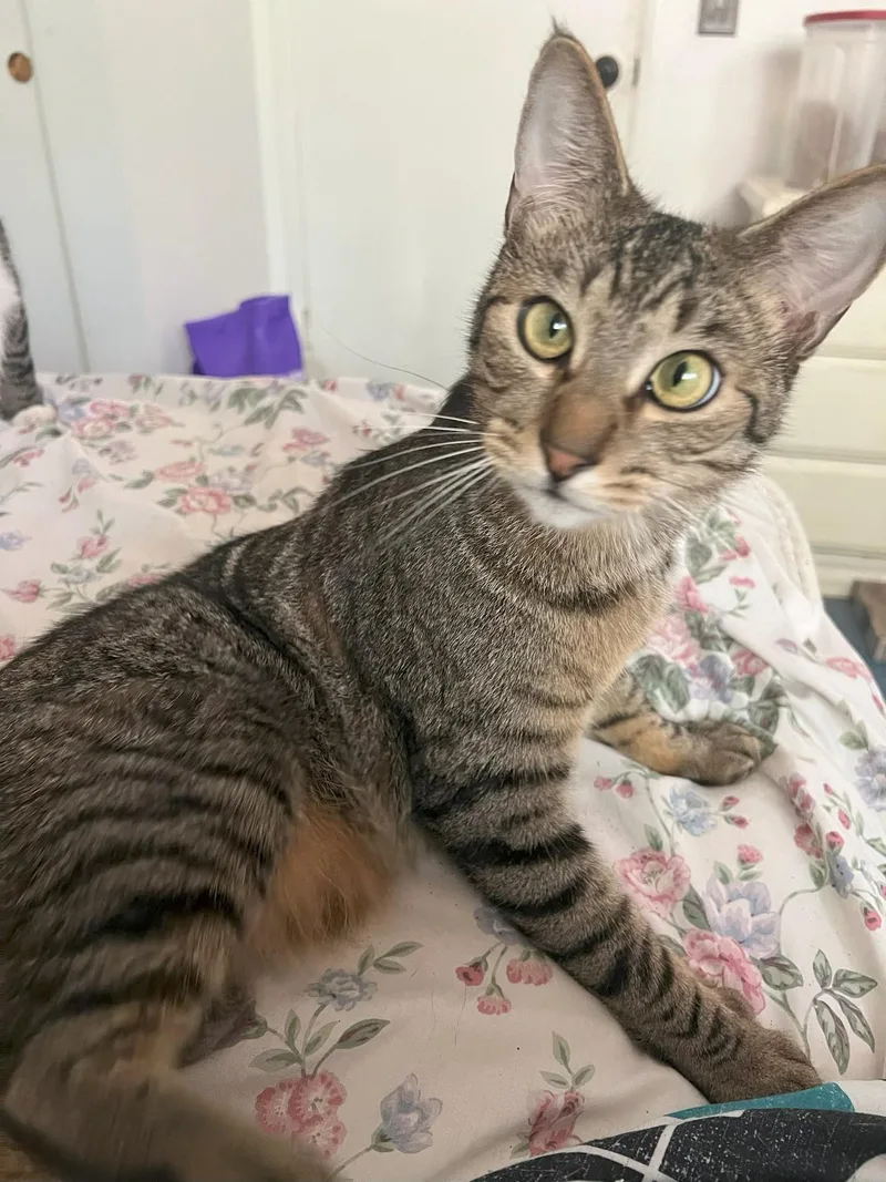 Waldo And Magoo thumbnail 4