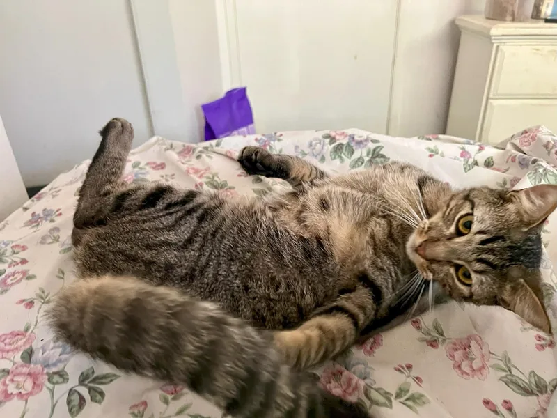 Waldo And Magoo thumbnail 5