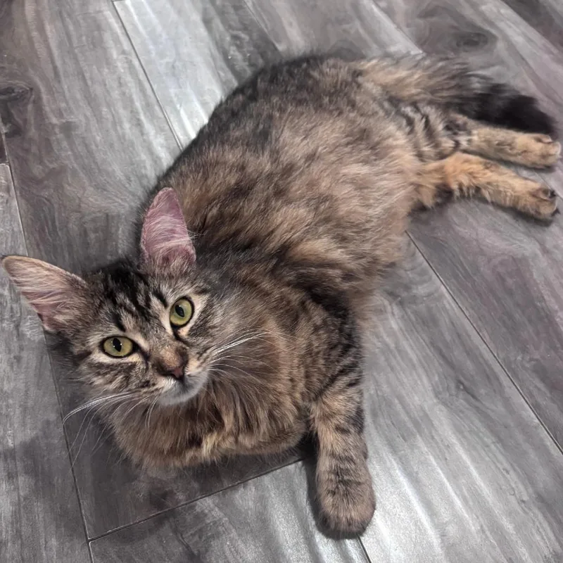 Minnie