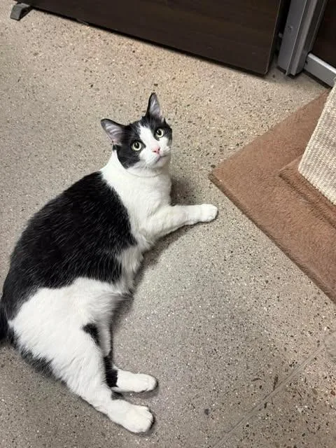 Maisie Mona Mama thumbnail 2