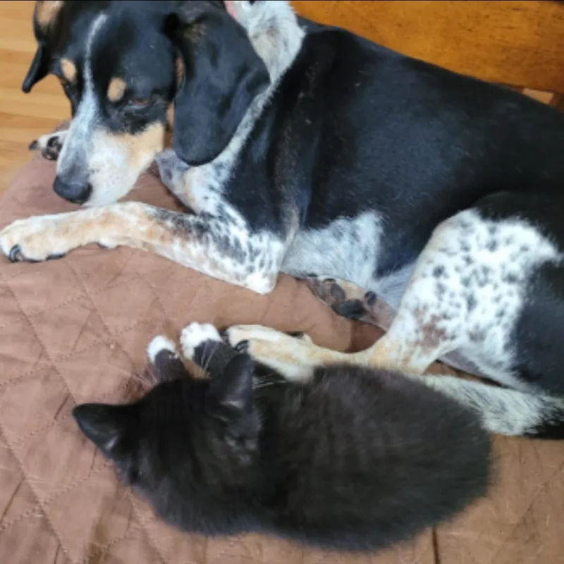 Niles & Frasier thumbnail 4