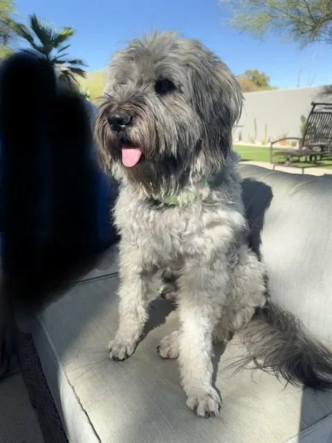Oliver