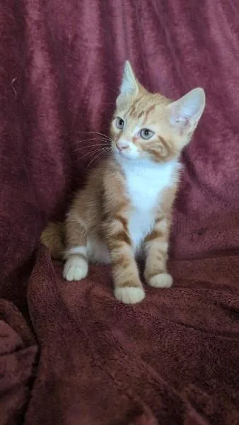 Floof thumbnail 2