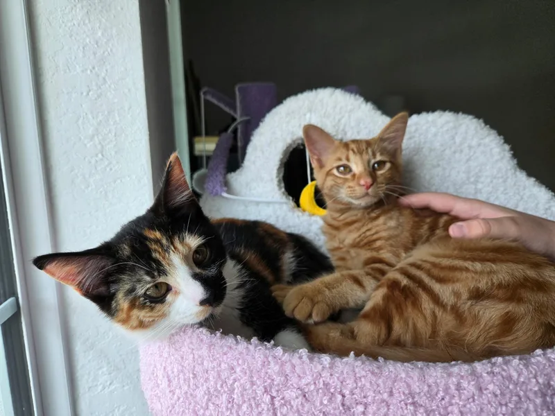 Mister & Misses BONDED thumbnail 5
