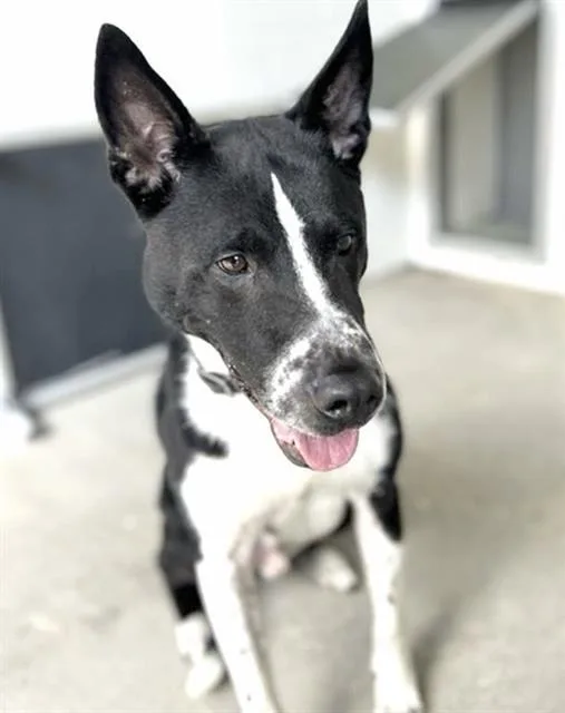 Max