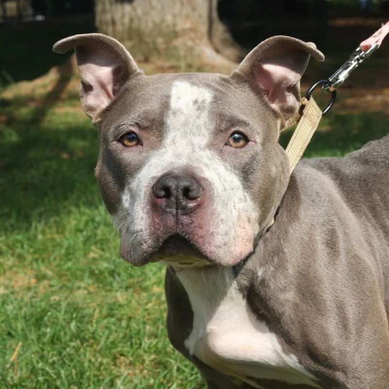 Freckles thumbnail 2