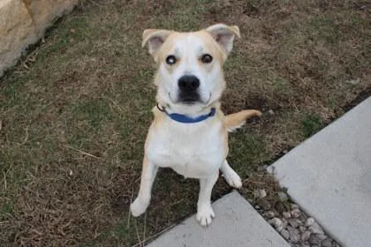 Wheatley thumbnail 2