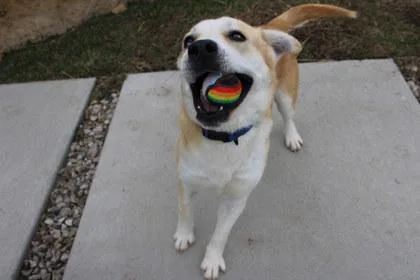 Wheatley thumbnail 3