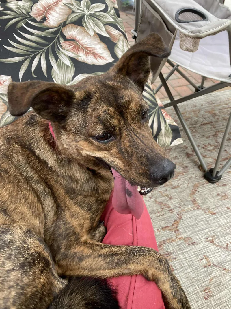 Richard Best Copolot