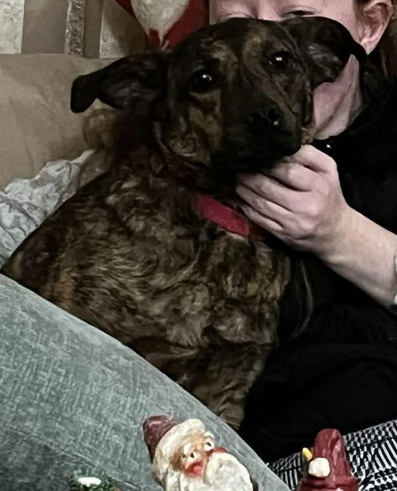 Richard  Best Copolot thumbnail 3