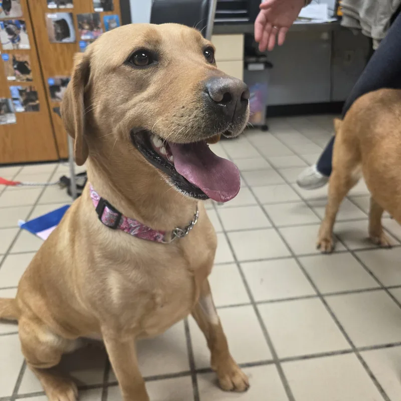 Lightning thumbnail 2