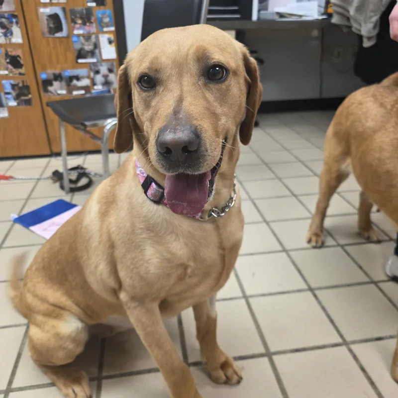 Lightning thumbnail 3