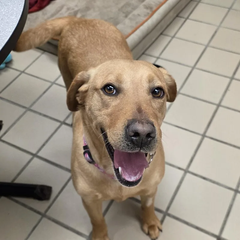 Lightning thumbnail 4