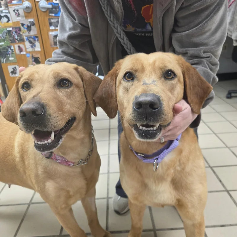 Lightning thumbnail 5