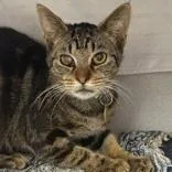 Little Bit thumbnail 2