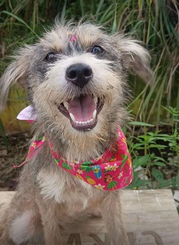 Brianna thumbnail 2