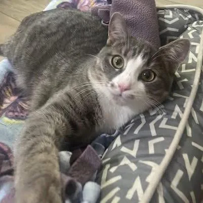 Polliwog thumbnail 2