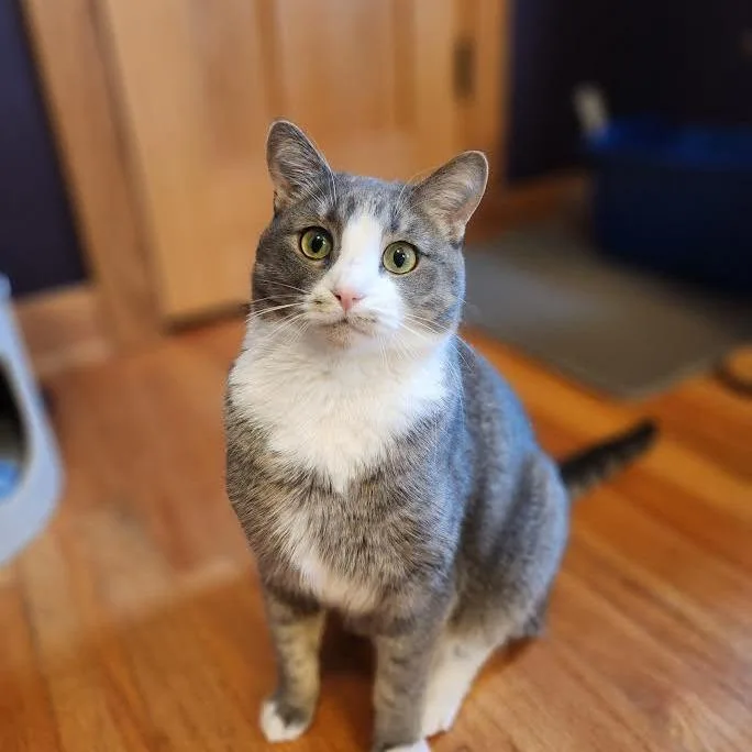 Polliwog thumbnail 6