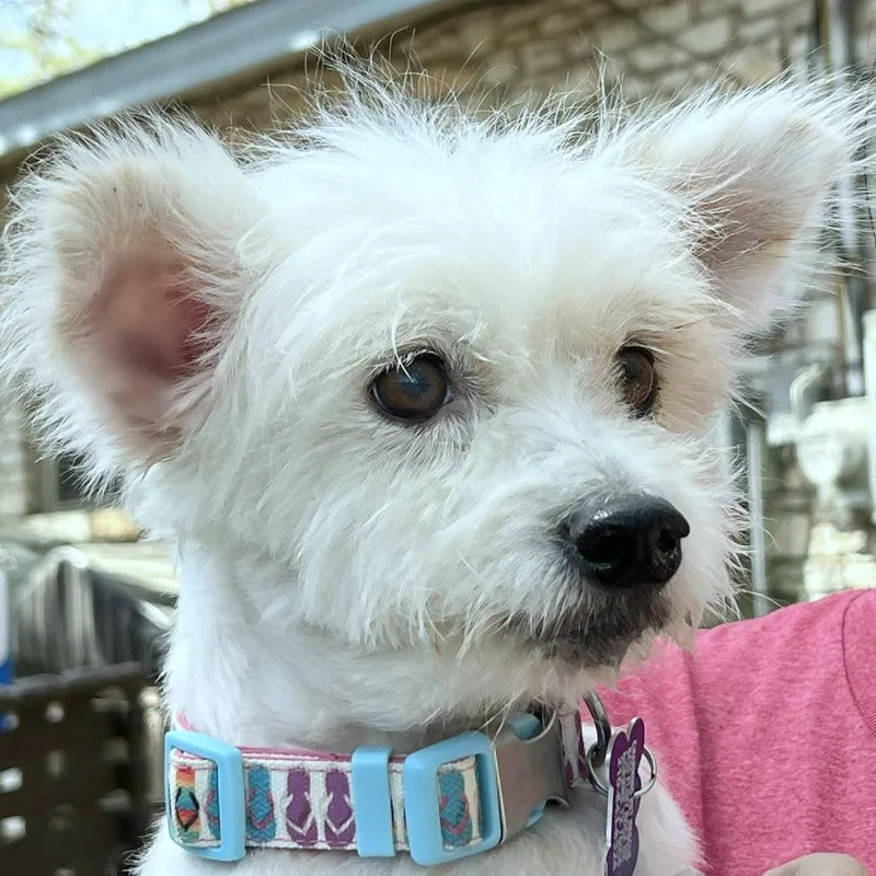 Confetti thumbnail 3